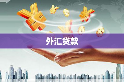 茅箭外汇贷款