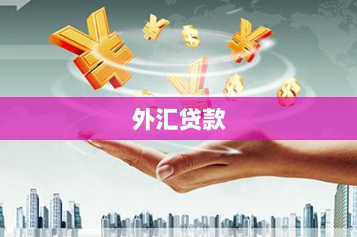 茅箭外汇贷款