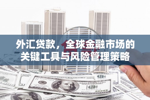茅箭外汇贷款，全球金融市场的关键工具与风险管理策略