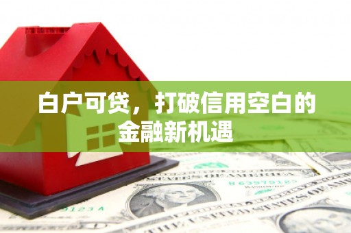 茅箭白户可贷，打破信用空白的金融新机遇