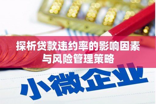 茅箭探析贷款违约率的影响因素与风险管理策略