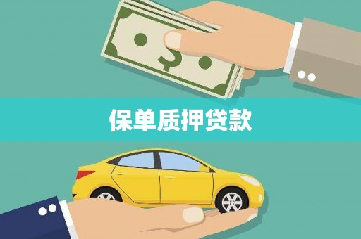 茅箭保单质押贷款