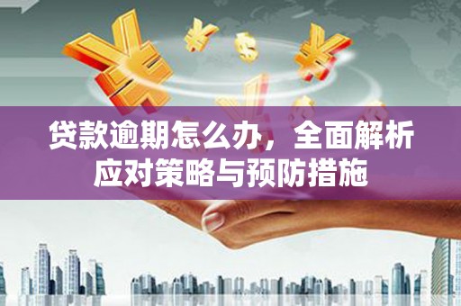 茅箭贷款逾期怎么办，全面解析应对策略与预防措施