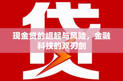茅箭现金贷的崛起与风险，金融科技的双刃剑