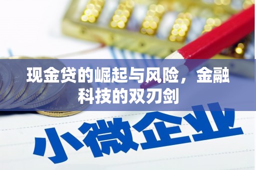 茅箭现金贷的崛起与风险，金融科技的双刃剑