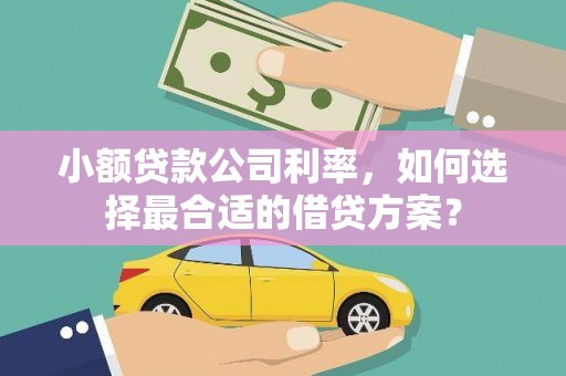 茅箭小额贷款公司利率，如何选择最合适的借贷方案？