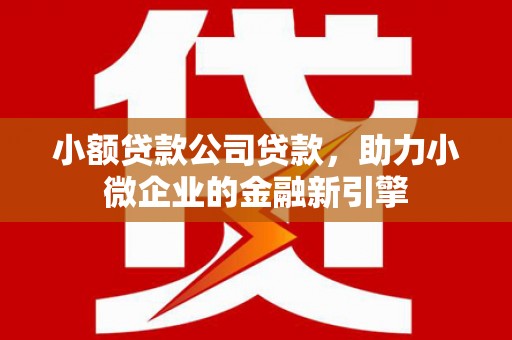 茅箭小额贷款公司贷款，助力小微企业的金融新引擎