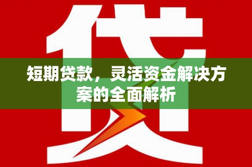 茅箭短期贷款，灵活资金解决方案的全面解析