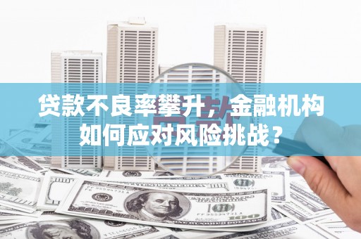 茅箭贷款不良率攀升，金融机构如何应对风险挑战？