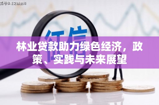 茅箭林业贷款助力绿色经济，政策、实践与未来展望