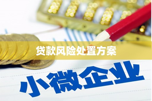 茅箭贷款风险处置方案